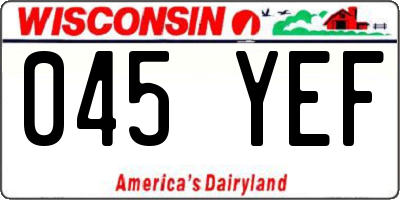 WI license plate 045YEF