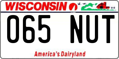 WI license plate 065NUT