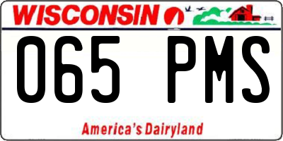 WI license plate 065PMS