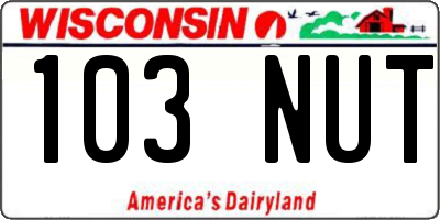 WI license plate 103NUT