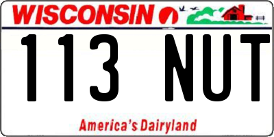 WI license plate 113NUT
