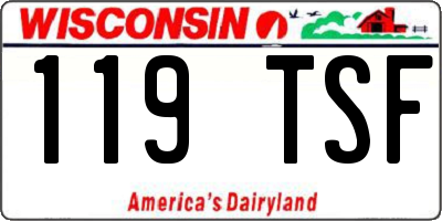 WI license plate 119TSF