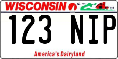 WI license plate 123NIP