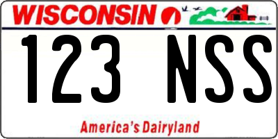 WI license plate 123NSS