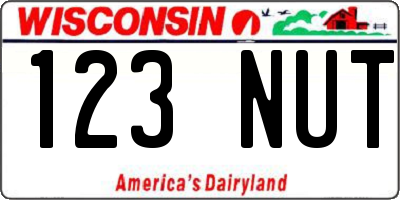 WI license plate 123NUT