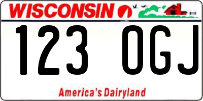 WI license plate 123OGJ