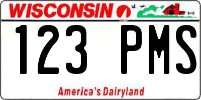 WI license plate 123PMS