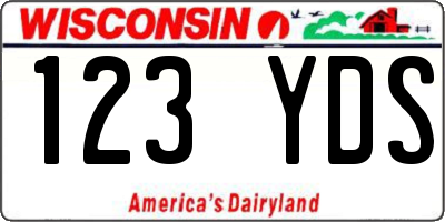 WI license plate 123YDS