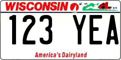 WI license plate 123YEA