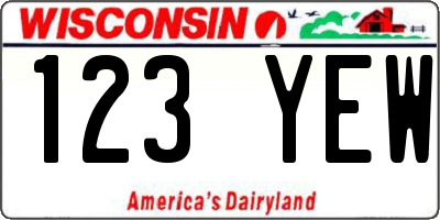 WI license plate 123YEW