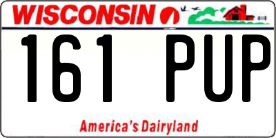 WI license plate 161PUP