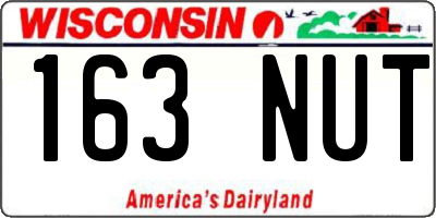 WI license plate 163NUT