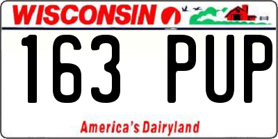 WI license plate 163PUP