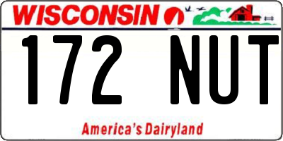 WI license plate 172NUT