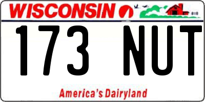 WI license plate 173NUT