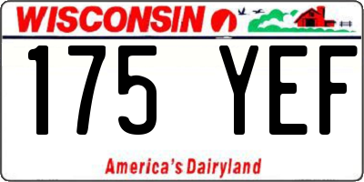 WI license plate 175YEF