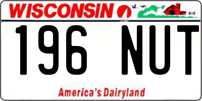WI license plate 196NUT