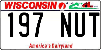 WI license plate 197NUT