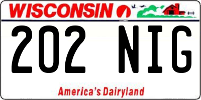 WI license plate 202NIG