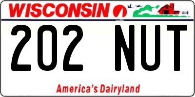 WI license plate 202NUT