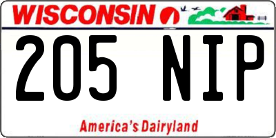 WI license plate 205NIP
