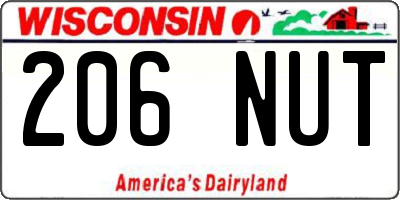 WI license plate 206NUT