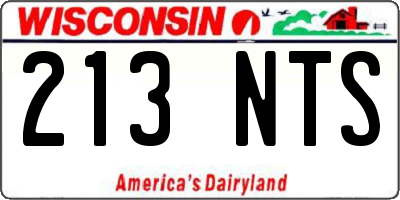 WI license plate 213NTS