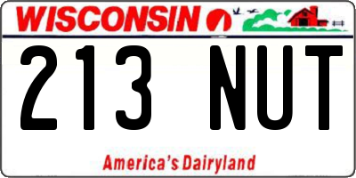 WI license plate 213NUT