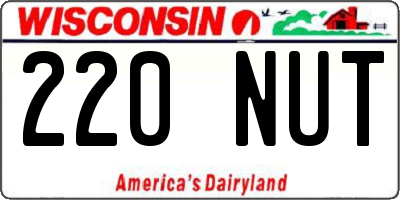 WI license plate 220NUT