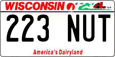 WI license plate 223NUT