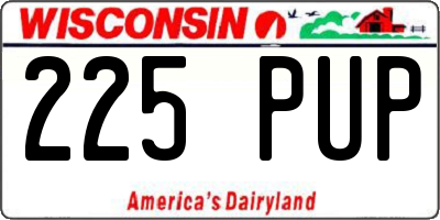 WI license plate 225PUP