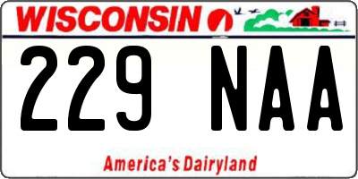 WI license plate 229NAA