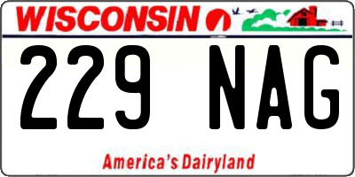 WI license plate 229NAG
