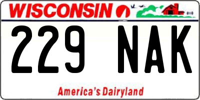 WI license plate 229NAK