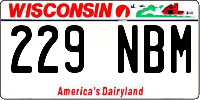 WI license plate 229NBM