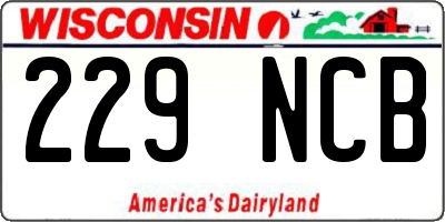 WI license plate 229NCB