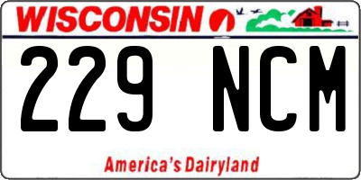 WI license plate 229NCM