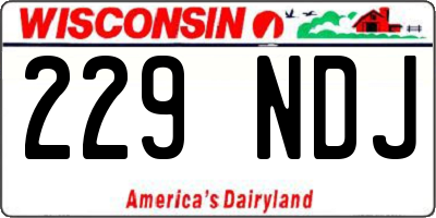 WI license plate 229NDJ