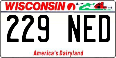 WI license plate 229NED