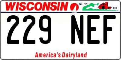 WI license plate 229NEF