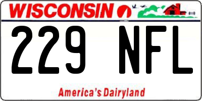 WI license plate 229NFL
