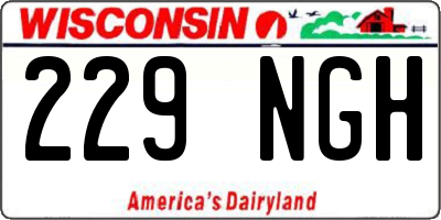 WI license plate 229NGH