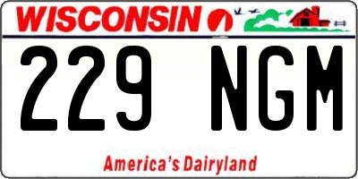 WI license plate 229NGM