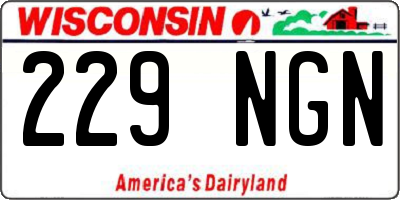 WI license plate 229NGN