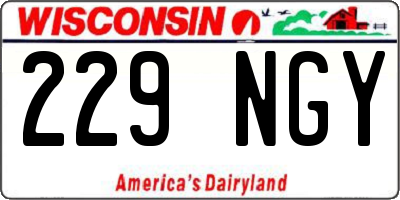 WI license plate 229NGY