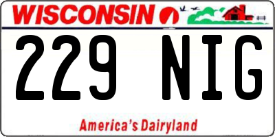 WI license plate 229NIG