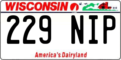 WI license plate 229NIP