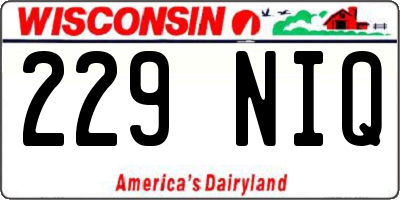 WI license plate 229NIQ