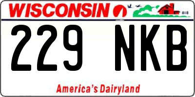 WI license plate 229NKB