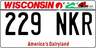 WI license plate 229NKR